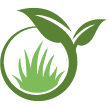 Walnut Creek Lawn Clean Up