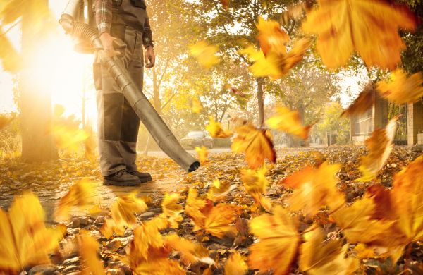 Cost of Leaf Blowing Service in Walnut Creek