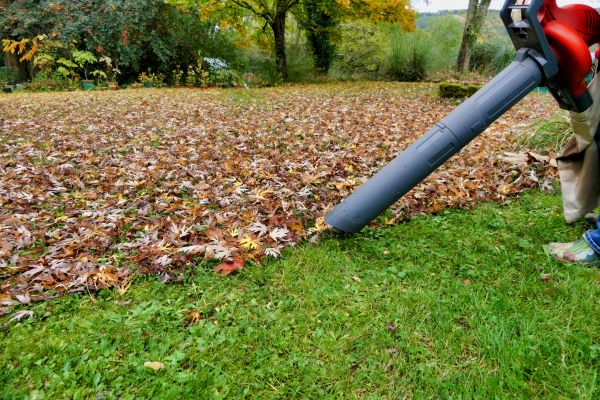 Cost of Leaf Vacuuming Service in Walnut Creek