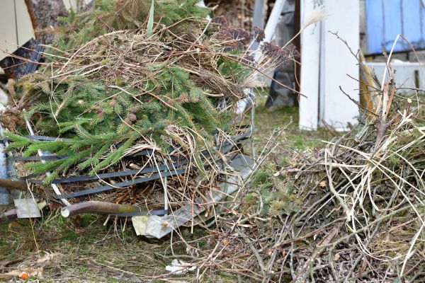Cost of Yard Debris Removal in Walnut Creek