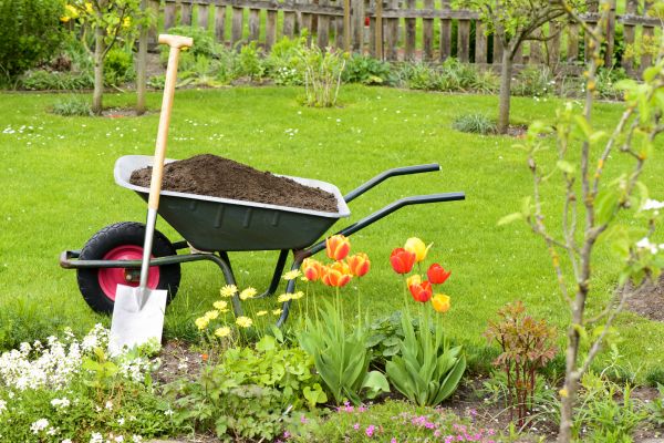 Cost of Spring Yard Cleanup in Walnut Creek