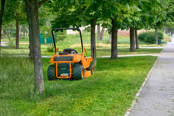 Cost of Landscaping Cleanup Service in Walnut Creek