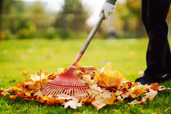Cost of Ditch Leaf Removal in Walnut Creek