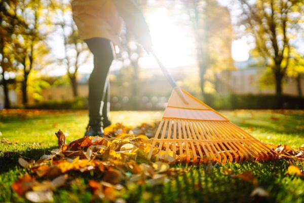 Cost of Leaves Raking in Walnut Creek