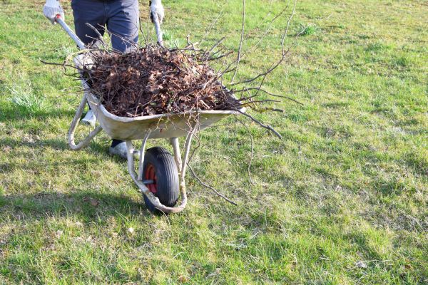 Cost of Yard Brush Removal in Walnut Creek