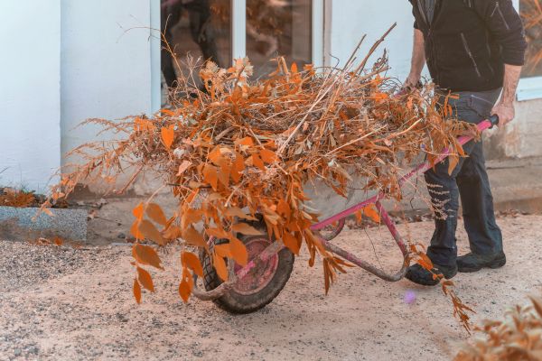 Cost of Lawn Debris Cleanup in Walnut Creek