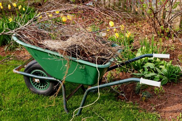Cost of Lawn Waste Removal in Walnut Creek