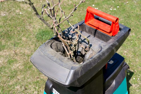 Cost of Brush Cleanup Service in Walnut Creek