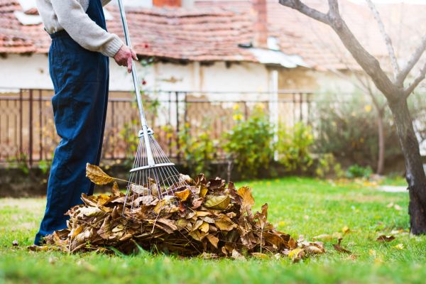 Cost of Fall Yard Cleanup Service in Walnut Creek
