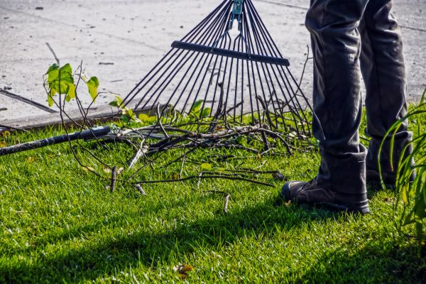 Cost of Yard Debris Cleanup in Walnut Creek