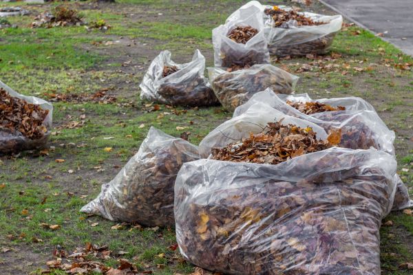 Cost of Leaf Pile Disposal in Walnut Creek