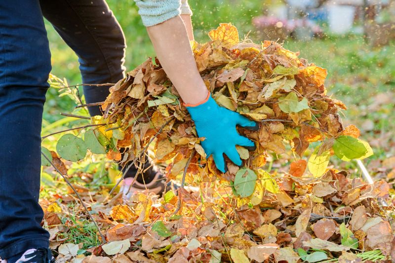 Leaves Removal